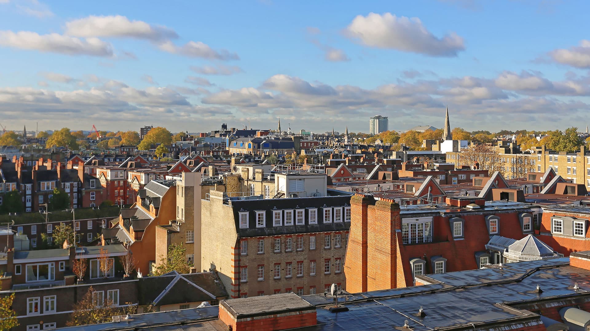SW3 Area